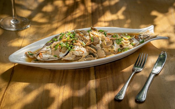 Unleash the full potential of your dodge charger: a comprehensive guide to upgrading to a high-performance fuel pump